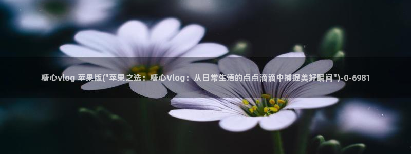 糖心vlog生物女