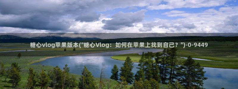 糖心硅谷vlog