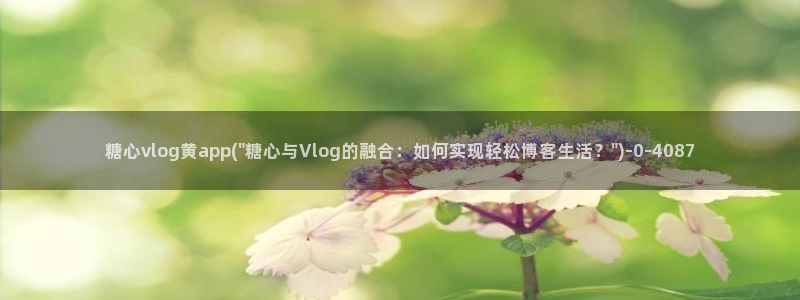 糖心vlog苹果版下载