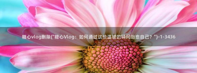 成人软件糖心vlog