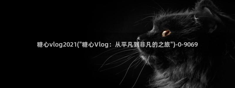 糖心vlog分享：糖心vlog2021(\