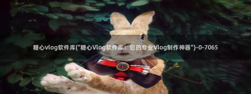 糖心vlog黄app：糖心vlog软件库(\