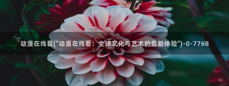 紧扣的星星动漫